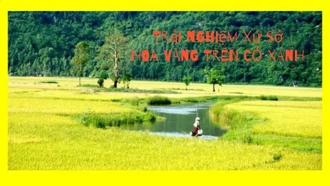 Từ xu hướng thời trang đến chiến lược video marketing: Hotspot Matrix chia sẻ kinh